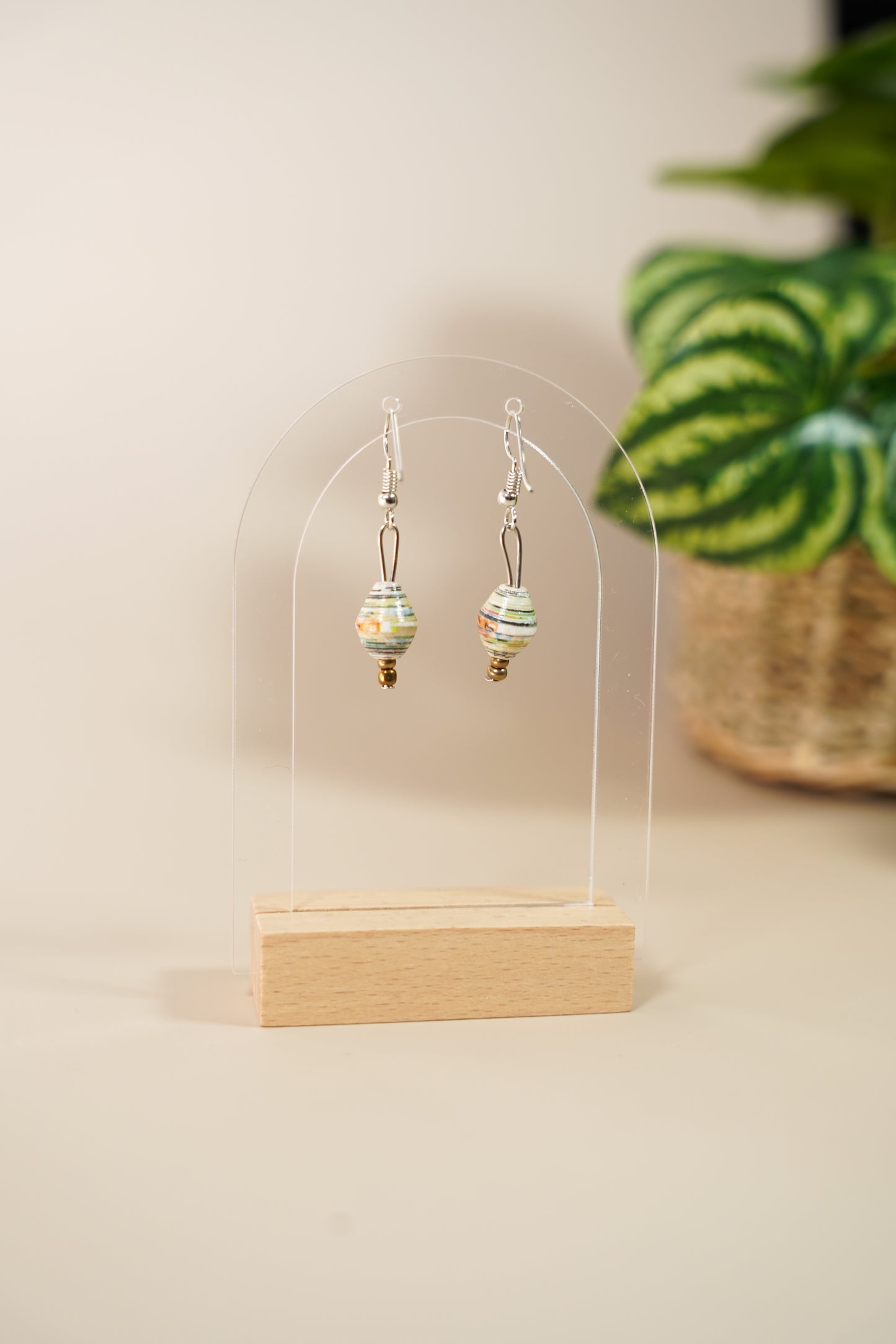 Striped Ivory - Ear rings